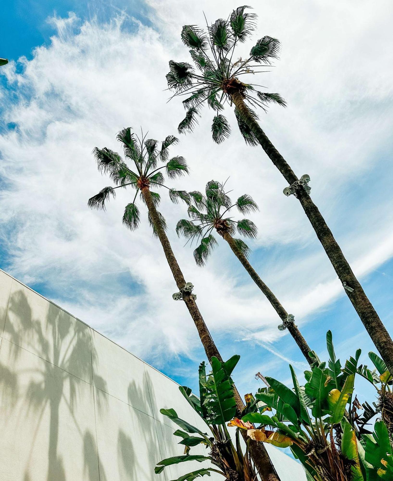 The Beverly Hilton Los Angeles Zewnętrze zdjęcie